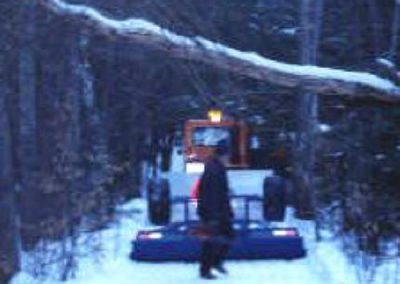 George Burdick Cleans Up A Fallen Tree